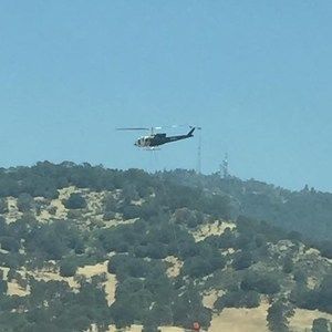 Meet your Posher, Roger